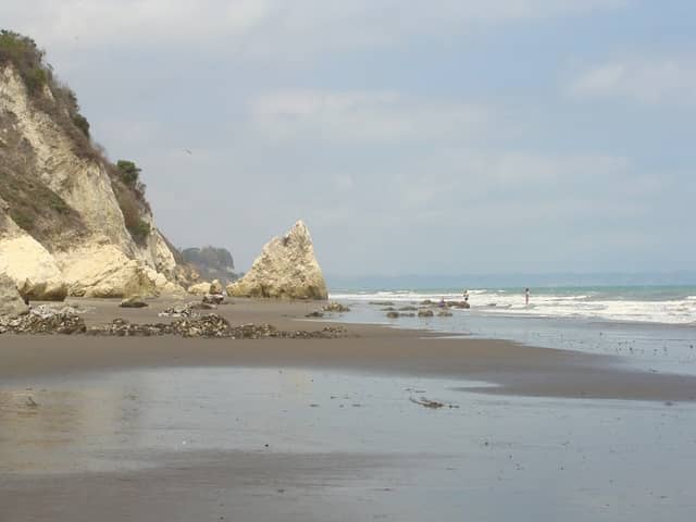 Playa Tasaste - Image 1