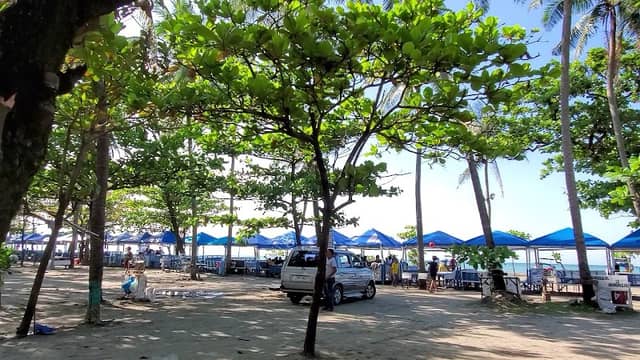 Pedro Maria Sison's Park - Image 1