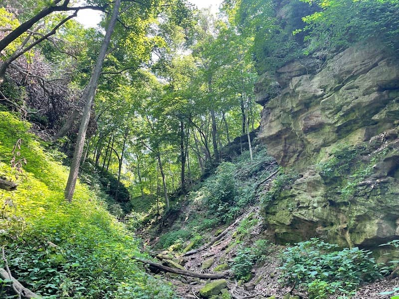 Wildcat Cave Access - Image 2