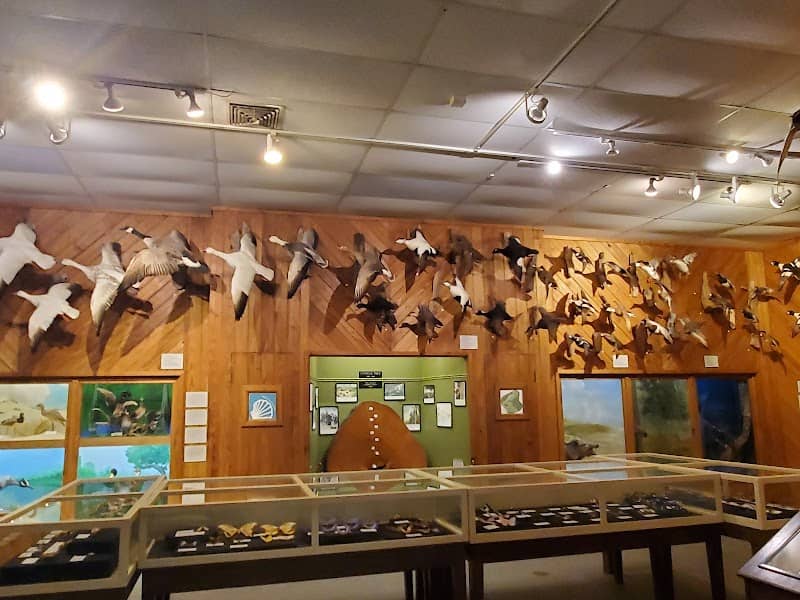 Brazosport Museum of Natural Science - Image 3
