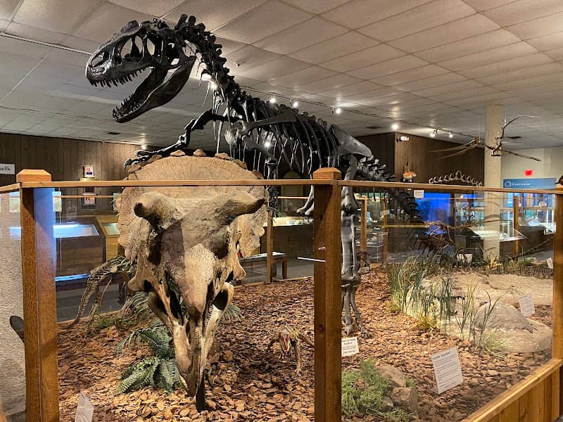 Brazosport Museum of Natural Science - Image 2