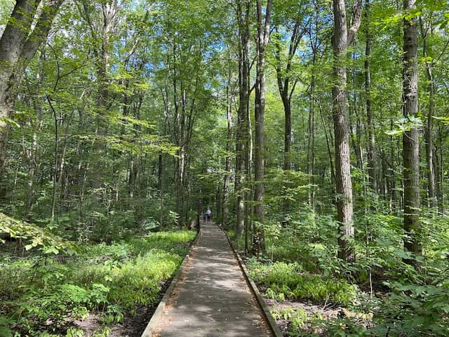 Kopegaron Woods Conservation Area - Image 2