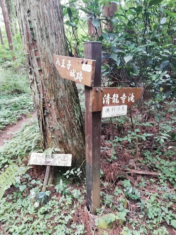 清龍寺滝 - Image 2