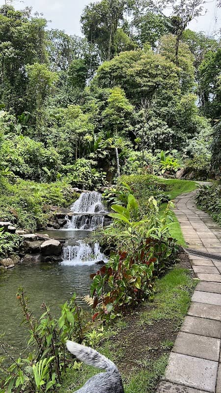 Kurú Natural Springs - Image 3