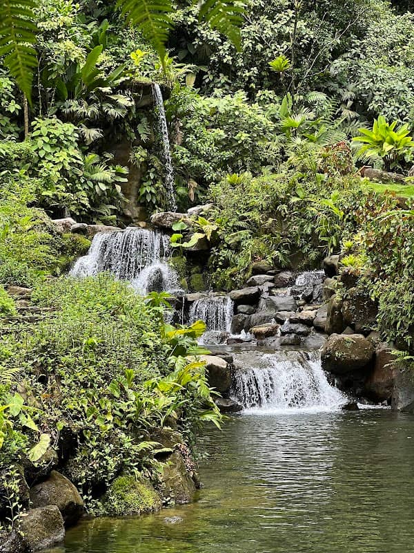 Kurú Natural Springs - Image 2