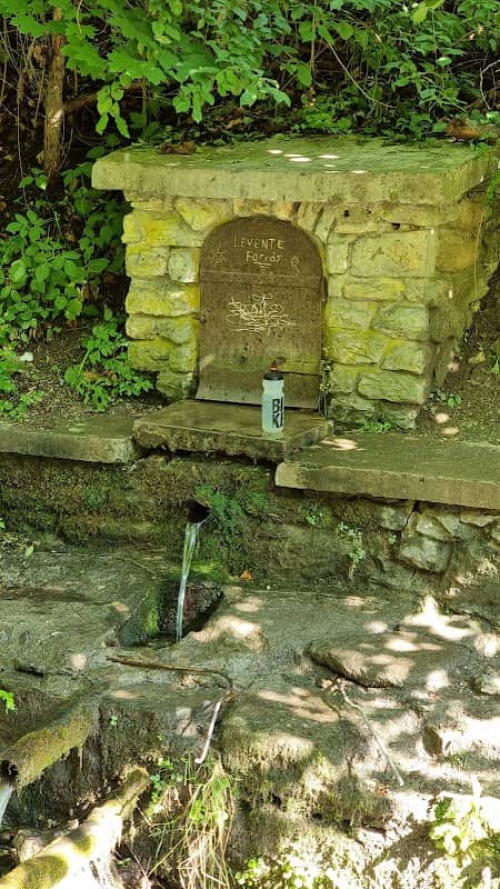Levente-forrás - Image 1