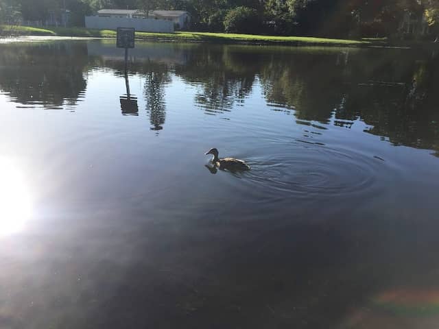 Lake Villa Park - Image 1