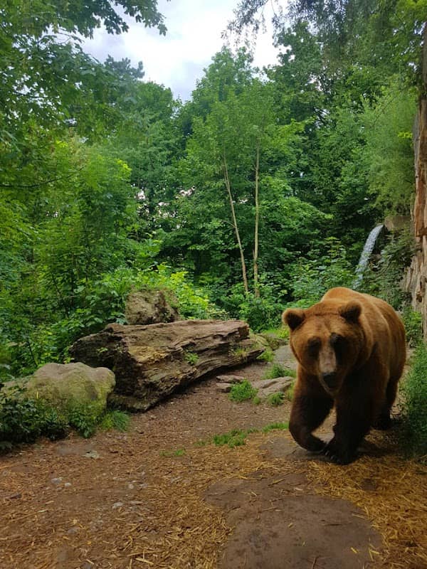 Alpenzoo Innsbruck - Tirol - Image 2