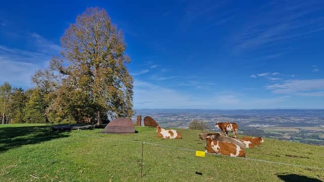 Aussichtspunkt - Image 1