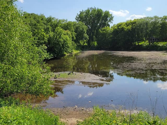 Lincoln's Pond - Image 1