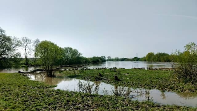 Alney Island Nature Reserve - Image 2