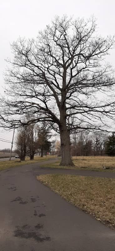 Griffon Park area - Niagara Falls Greenway Trail - Image 2