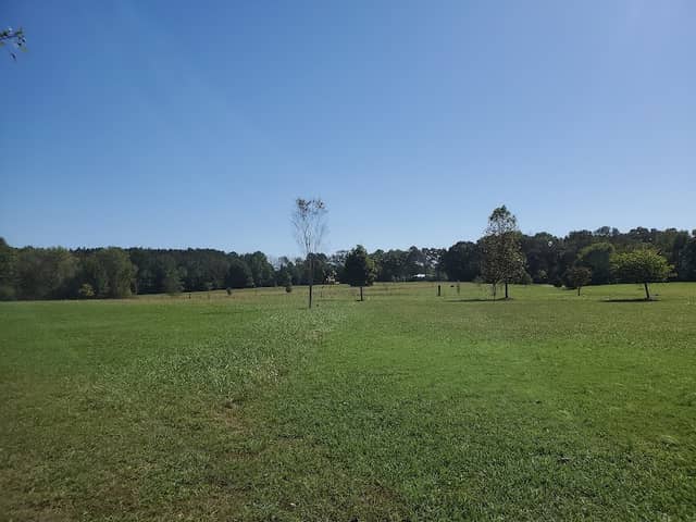 East Park Arboretum - Image 1
