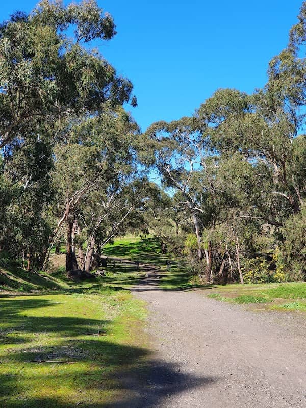 Red Gum Picnic Area - Image 1