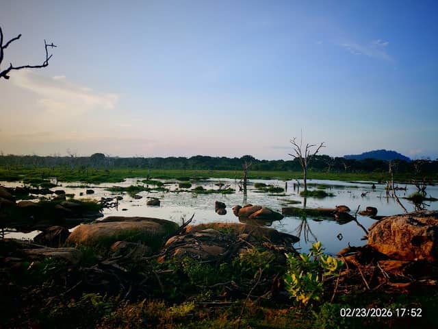 Gollukada Wewa - Image 1