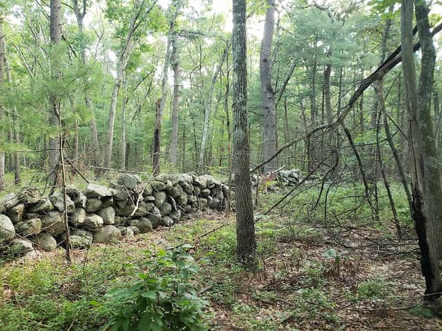 Franklin State Forest - Image 2