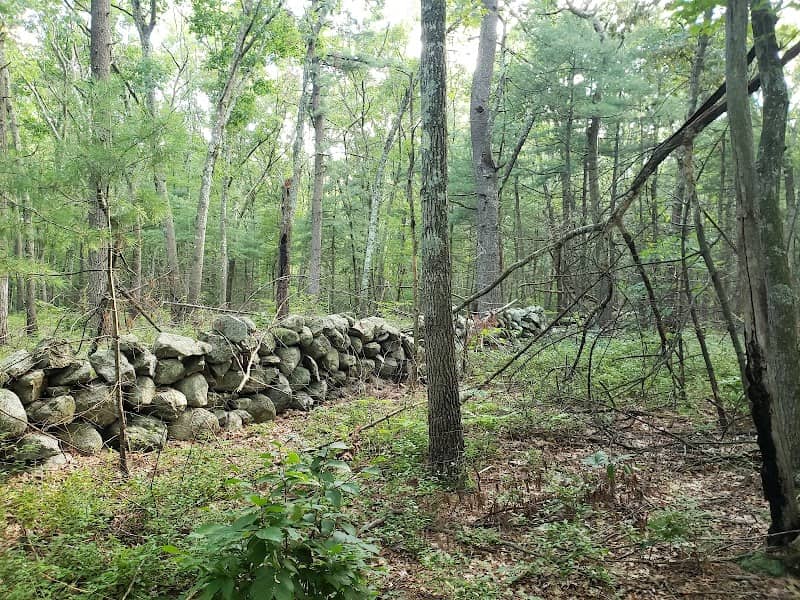 Franklin State Forest - Image 2
