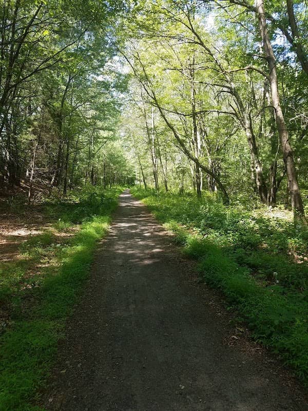 Franklin State Forest - Image 1