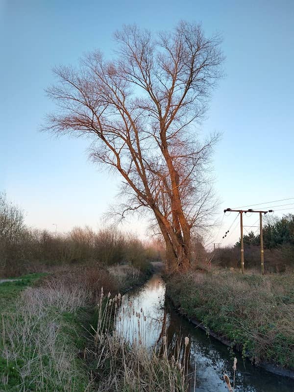Bottesford Beck Bridleway - Image 2
