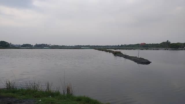 Kalathara backwater view point - Image 1