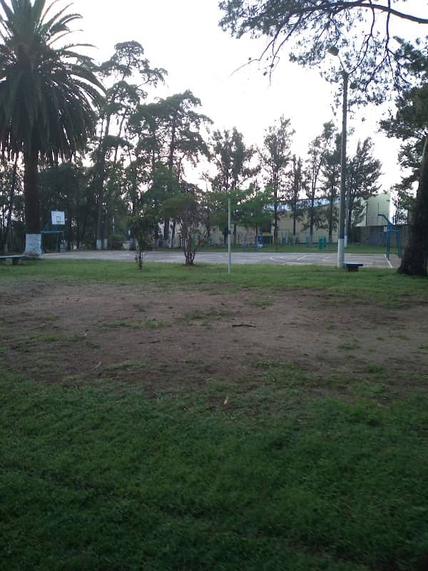 Parque No.1, Molino De Las Flores 1 - Image 1