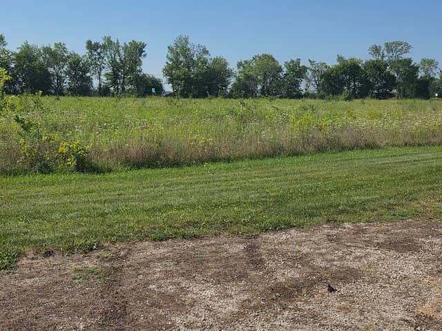 Pingree Grove Bird and Nature Trail - Image 1