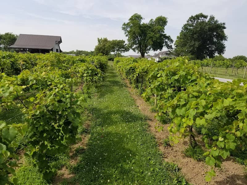 Monte Alegre Vineyard/Cellars - Image 2
