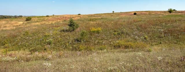 York Prairie SNA Marbleseed Unit - Image 2