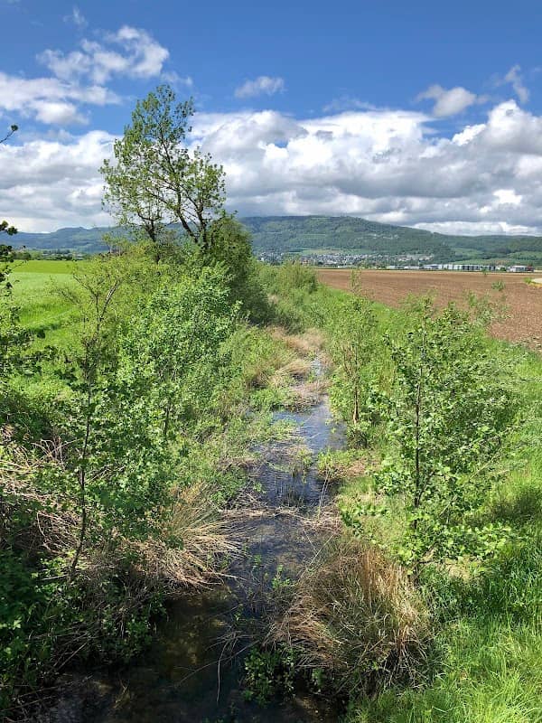 Ruisseau de Bellevie - Image 1