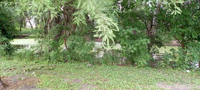 Cedar River Park - Image 2