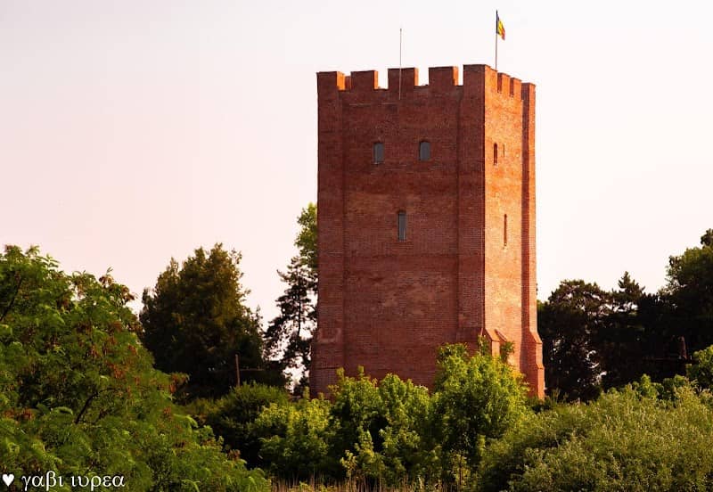 Turn de aparare Ciacova - Image 1
