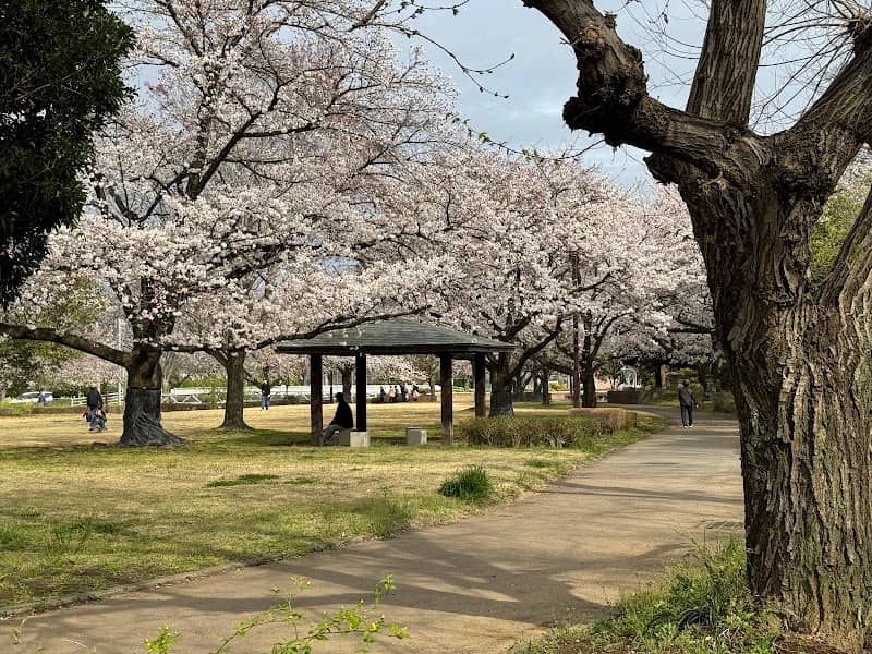 Honjofurusato Flower Park - Image 1