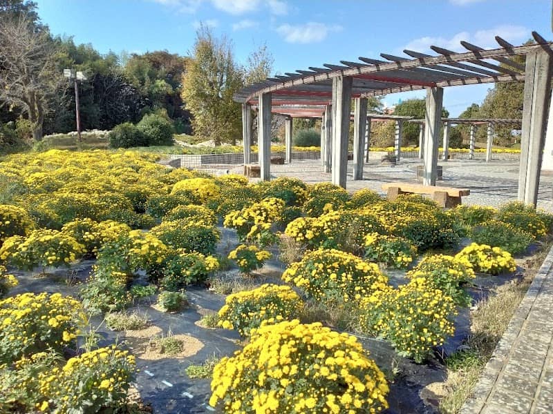 Honjofurusato Flower Park - Image 2
