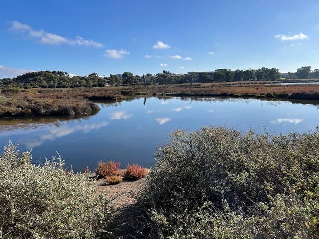 Rocky Gully Wetlands - Image 1
