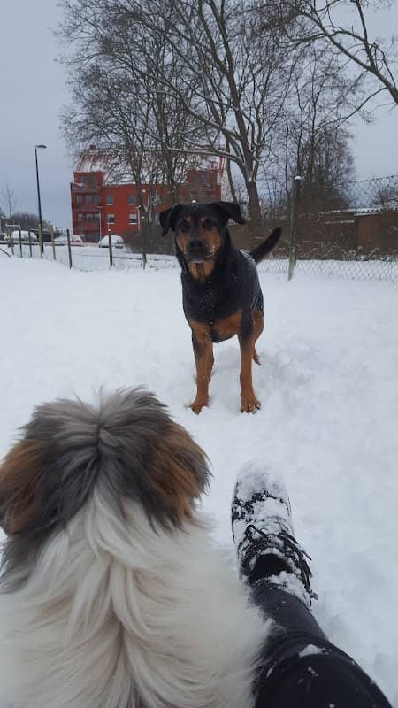 Dog park Kneippen - Image 1