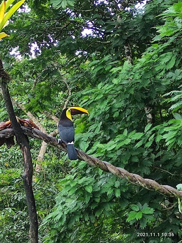 Dave & Dave's Costa Rica Nature Park - Image 2