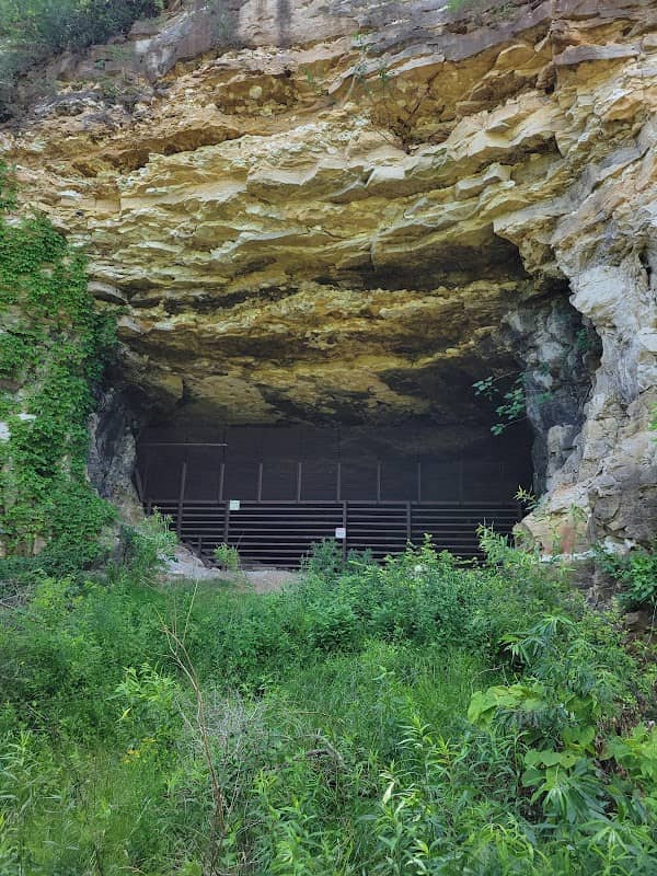 Sodalis Preserve - Image 2