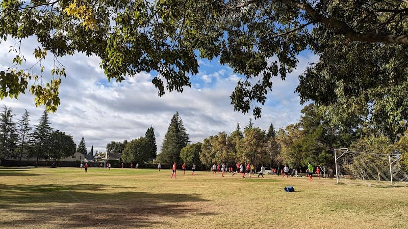 Lembi Park - Image 2
