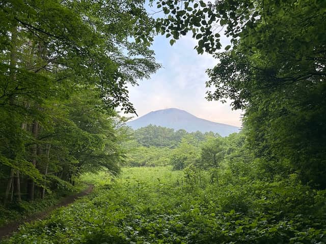 アカゲラ休憩所 - Image 2