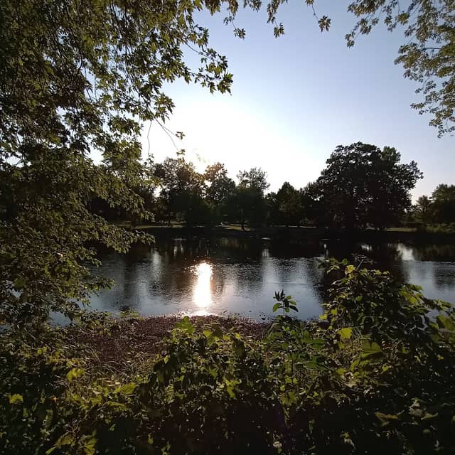 Conservation Park - Image 2