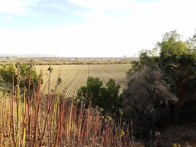 Riverview Linear Park - Image 3