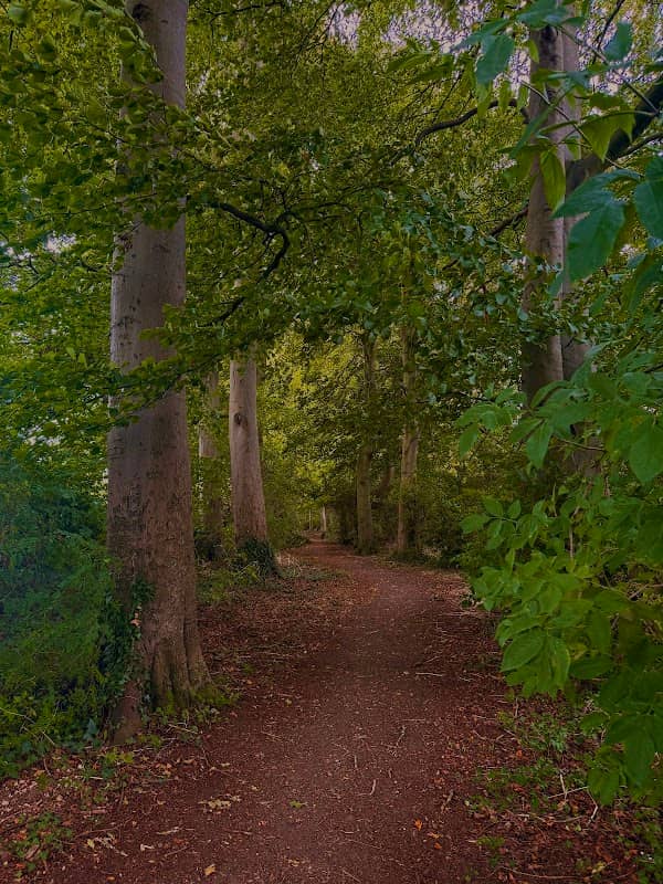 Lancot Meadow - Image 1