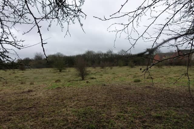 Lancot Meadow - Image 2