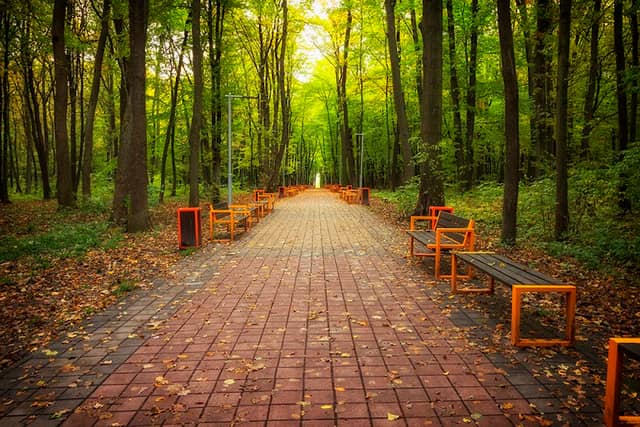 Pope John Paul II Park - Image 2