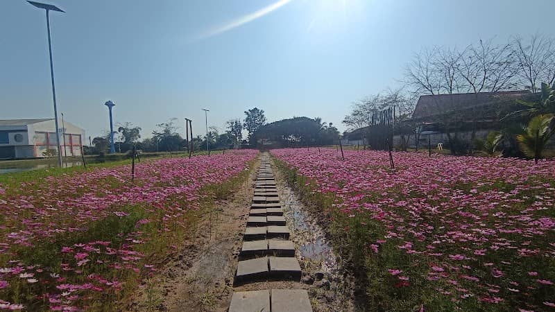 สวนรวมใจรักบ้านแป้น 🌸 - Image 1