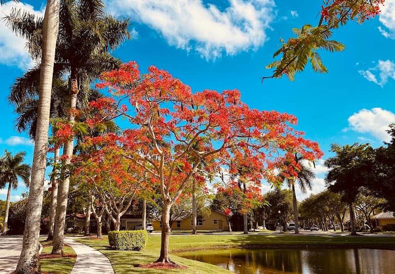 Sunset Springs Community Park - Image 2
