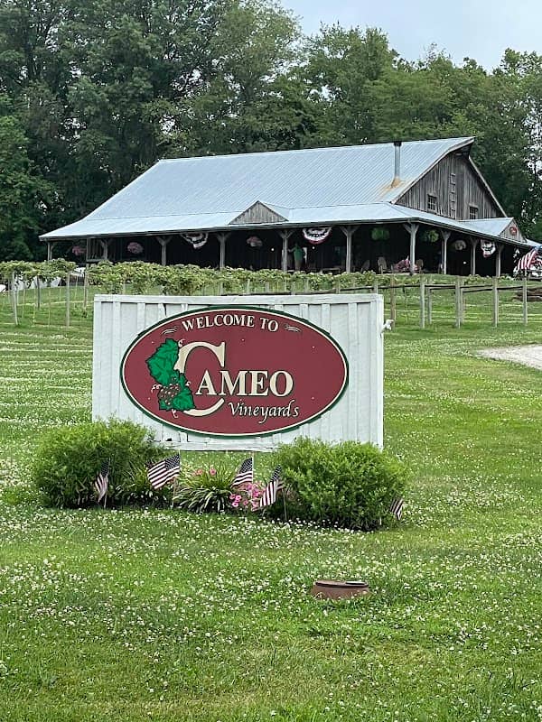 Cameo Vineyards - Image 1