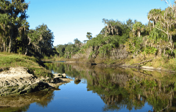 Peace River State Forest - Image 1