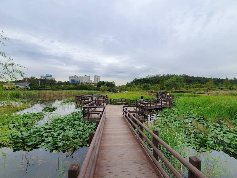 Pureun Arboretum - Image 1