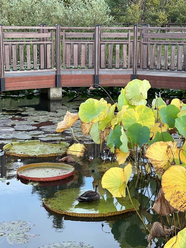 Pureun Arboretum - Image 3